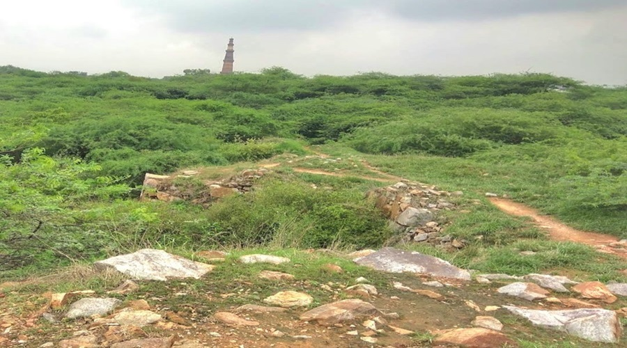 Ruins-of-Lal-Kot-inside-Mehrauli