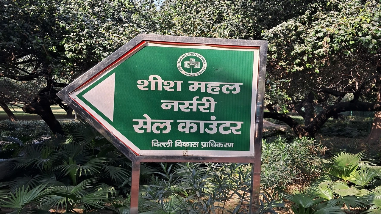 शालीमार-गार्डन-का-राजसी-कोना-—-शीश-महल-की-सैर-1